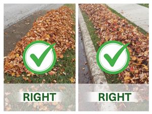 leaves neatly piled at curb